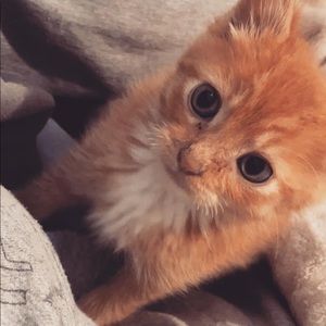 Meet your Posher, Alysia